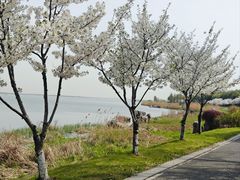-阳澄湖半岛旅游度假区