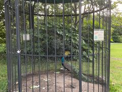 -南通鹏欣花园国宾酒店