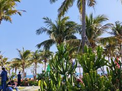 -大梅沙海滨公园