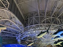 -烟台海昌鲸鲨海洋公园