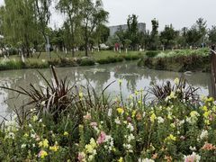 -天府芙蓉园