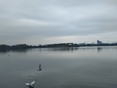 -海珠湖公园