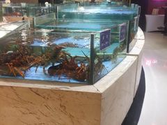水产区-旺顺阁海鲜广场(亚运村店)
