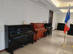 -刘健艺术钢琴学校·专注钢琴教育25周年(徐家汇校区)