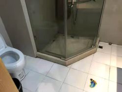 -艾博尔医院