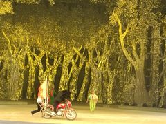灵玲国际马戏城-灵玲国际马戏城