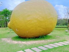 -顺峰山公园