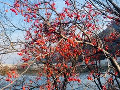 -沂蒙山旅游区云蒙景区(蒙山国家森林公园)