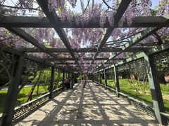 -北京市劳动人民文化宫(太庙)