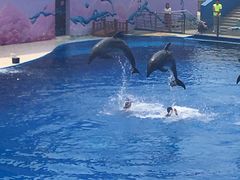 -北戴河圣蓝海洋公园