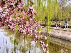 -元大都城垣遗址公园