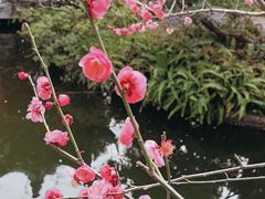 -上海虹桥宾馆(郁锦香品牌酒店)