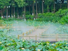 -广州莲花山旅游区