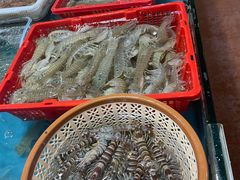 -万尾农贸市场
