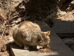 -四门塔风景区