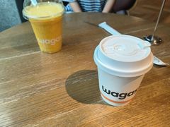 -Wagas沃歌斯(大学路店)