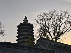 -正阳书局(西四南大街店)