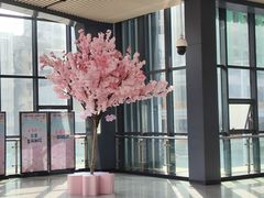 -循礼门鲜花花市(武汉循礼门店)