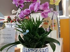 -福田卓悦INTOWN购物中心