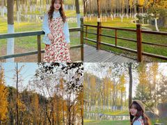 -艾溪湖湿地公园