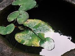 -31号公馆(黄兴广场白果园店)