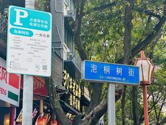 -泡桐树街