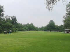 -御林古桑园