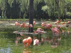 -石家庄市动物园