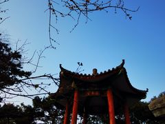 -丰台花园