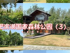 -合肥滨湖国家森林公园