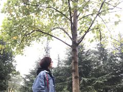 -西北湖绿化广场
