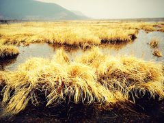 -泸沽湖国家级风景名胜区走婚桥