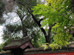 -元大都城垣遗址公园