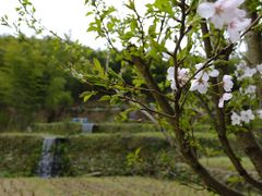 -宁波浙东大竹海景区