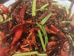-京悦南门涮羊肉·羊蝎子火锅(田林路店)
