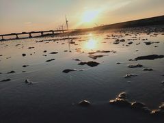 -南汇新城海滩