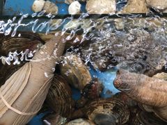 -金海湾海鲜排档(朱家尖店)