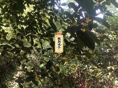 -星巴克(镇江苏宁广场6F店)