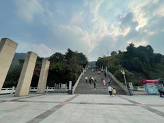 -铁山坪森林公园