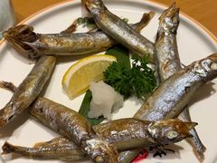 -鮨桐日本料理(望京店)
