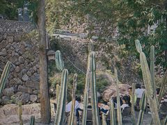 -MOJ coffee(瓯海泽雅水碓坑店)