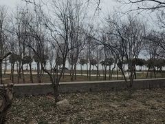 -洪泽湖古堰景区