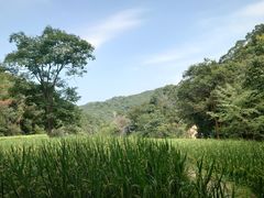 -世间香境·七溪地