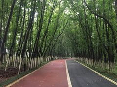 -艾溪湖湿地公园