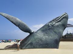 -烟台金沙滩海滨公园