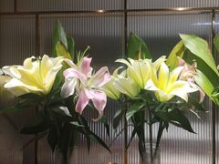 -鑫小城故事·藕汤·家常菜(台北一路总店)