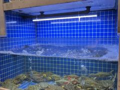 -浙C老邻舍(西城海错店)