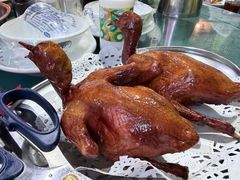 -石岐乳鸽村(南海第三分店)