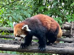 -昆明动物园