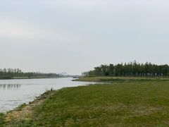 -春花秋色城市公园